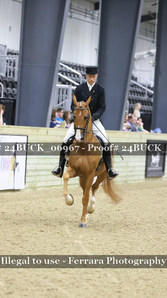 Proof 24BUCK_06967