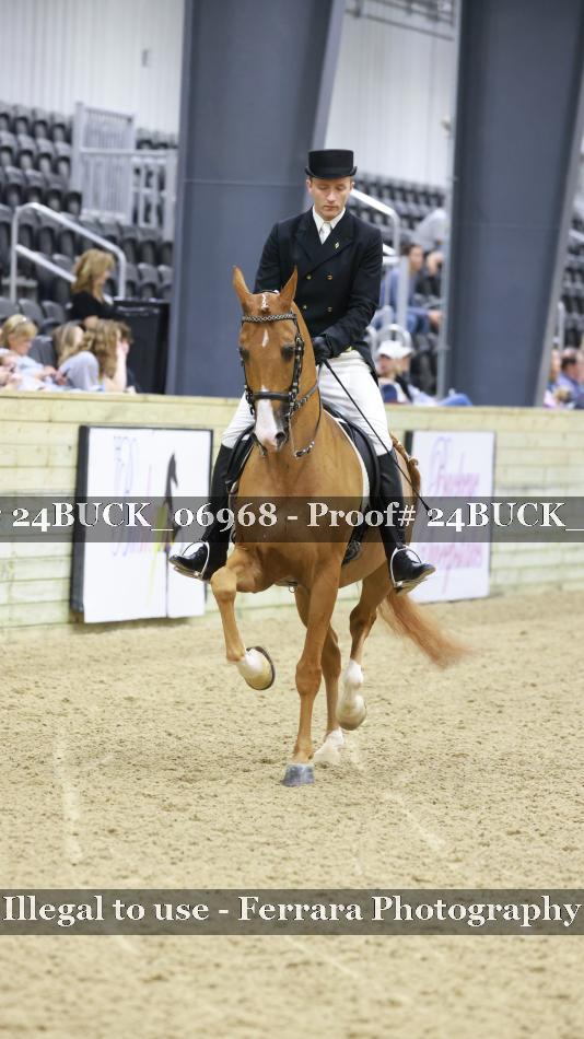 Proof 24BUCK_06968