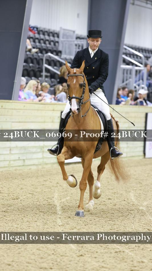 Proof 24BUCK_06969