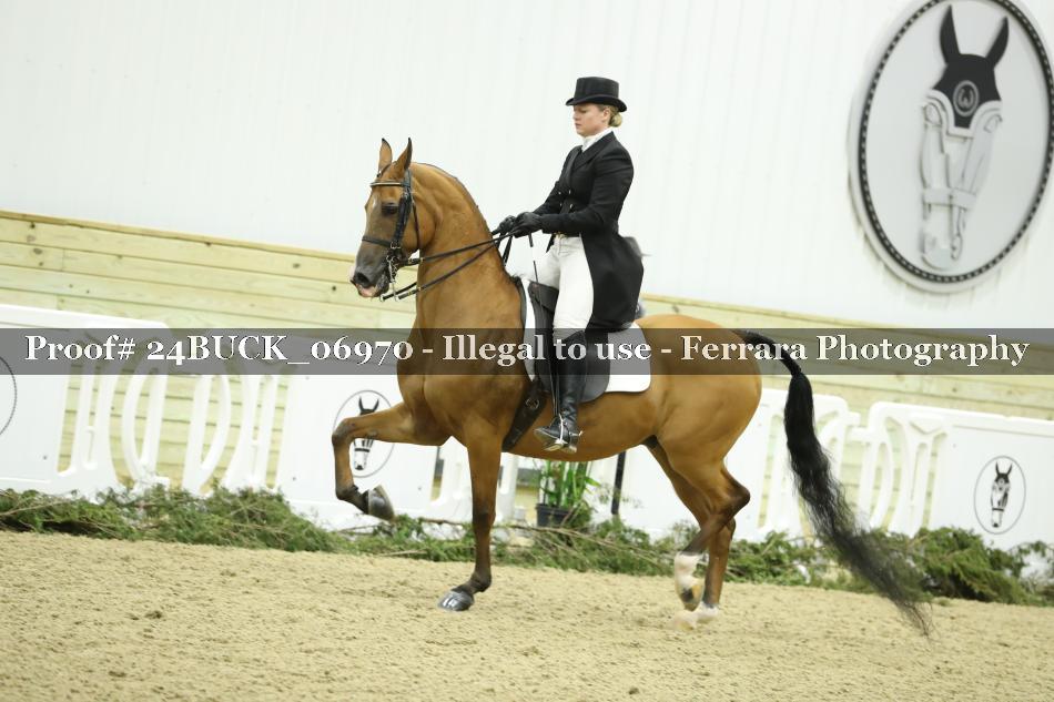Proof 24BUCK_06970