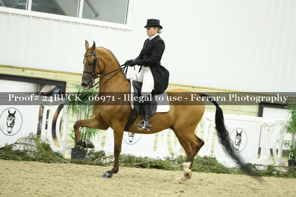 Proof 24BUCK_06971