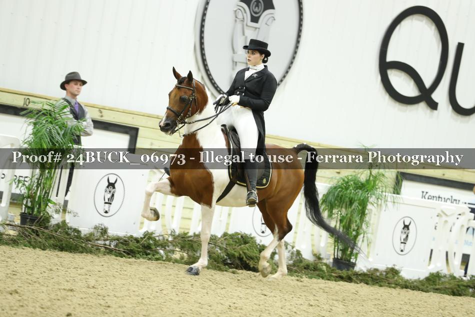 Proof 24BUCK_06973