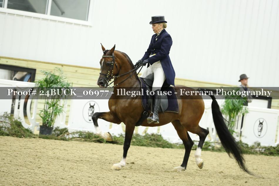 Proof 24BUCK_06977