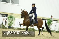 24BUCK_06977 proof