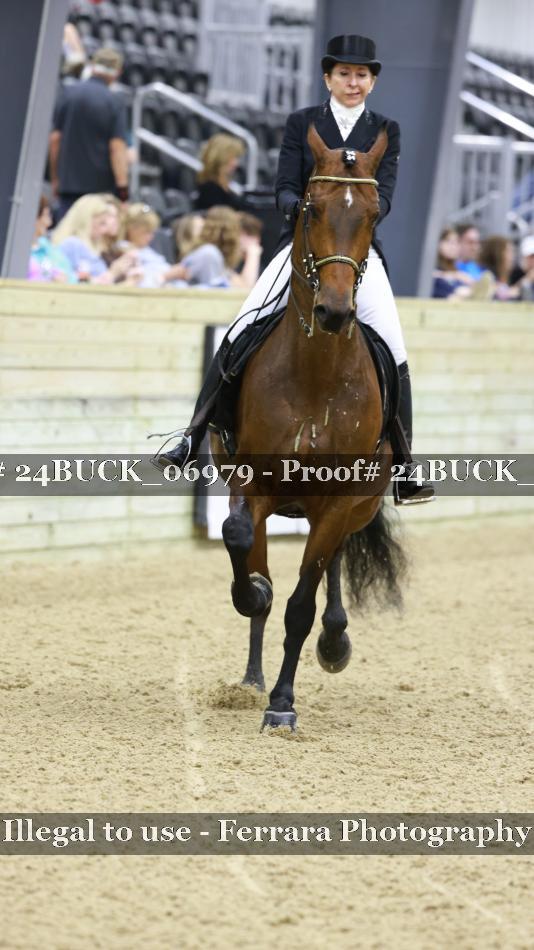 Proof 24BUCK_06979
