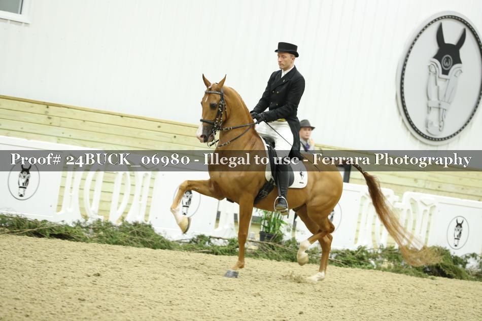 Proof 24BUCK_06980