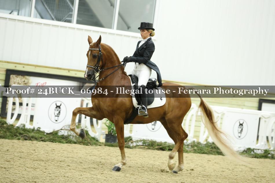 Proof 24BUCK_06984