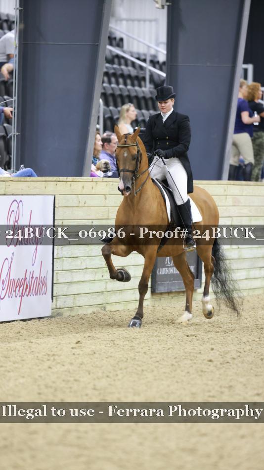 Proof 24BUCK_06986