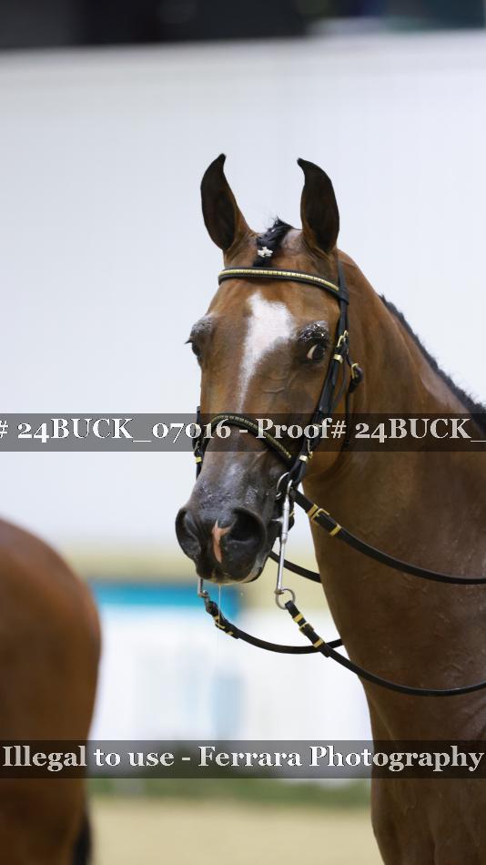 Proof 24BUCK_07016