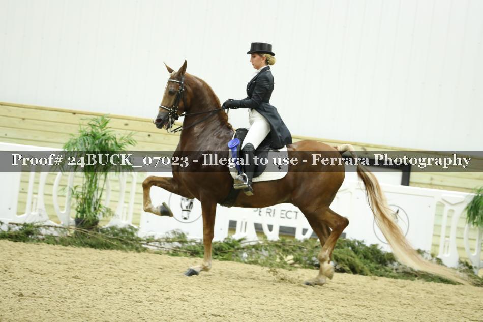 Proof 24BUCK_07023