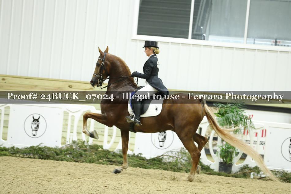Proof 24BUCK_07024