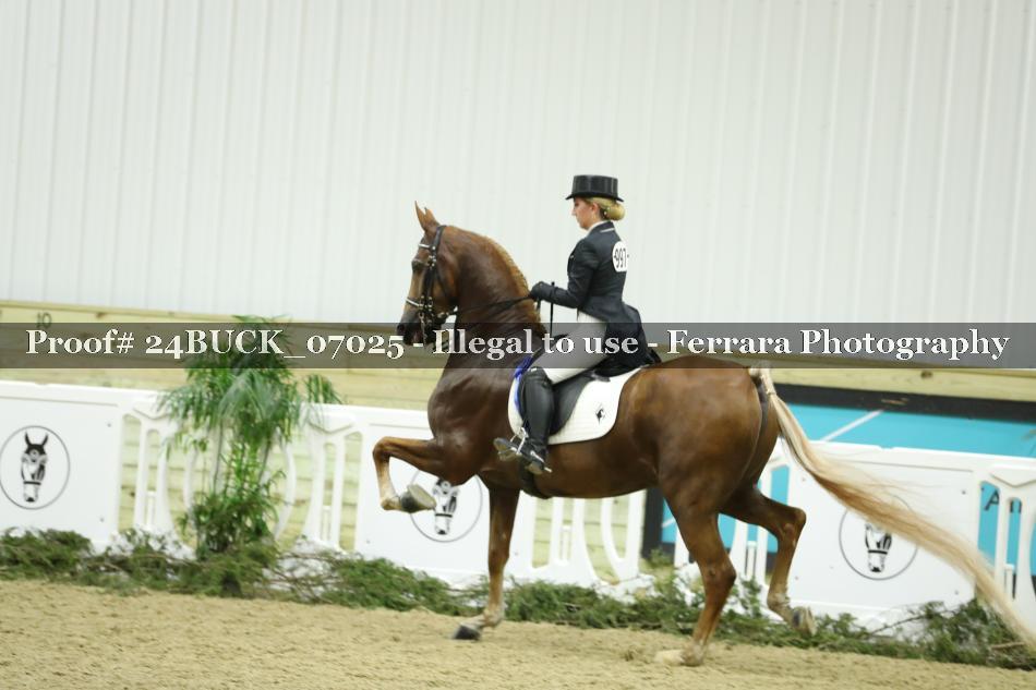 Proof 24BUCK_07025