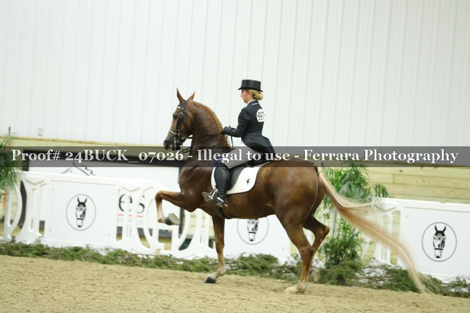 Proof 24BUCK_07026