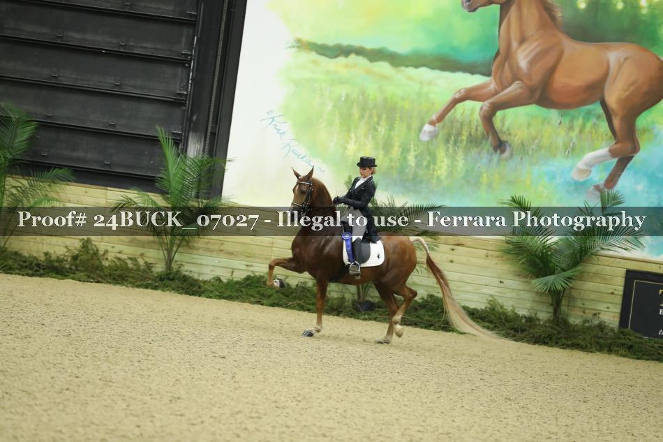 Proof 24BUCK_07027