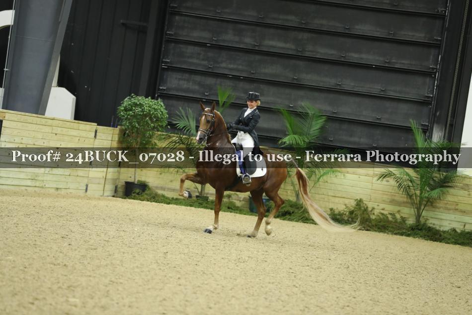 Proof 24BUCK_07028