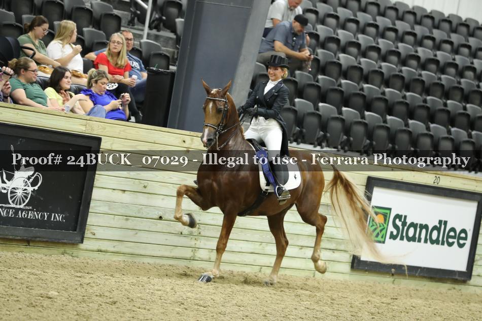 Proof 24BUCK_07029