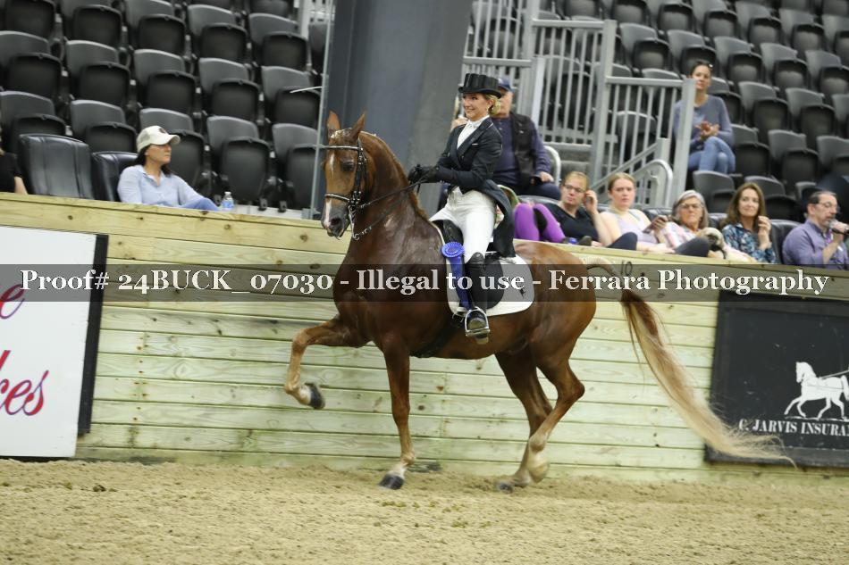 Proof 24BUCK_07030