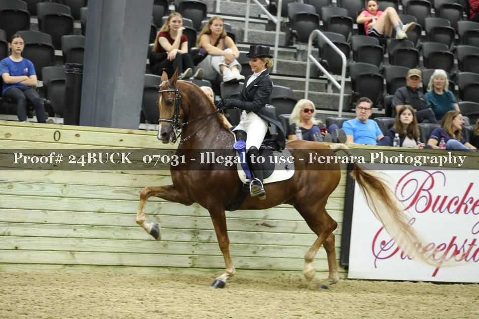 Proof 24BUCK_07031