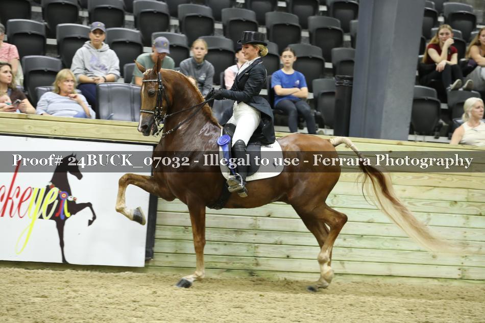 Proof 24BUCK_07032