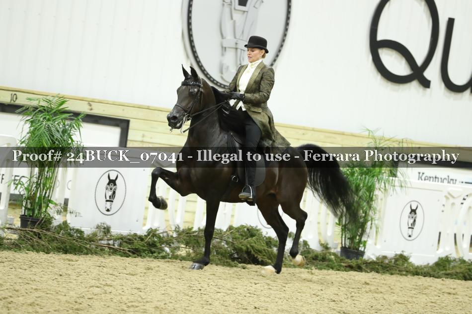 Proof 24BUCK_07041