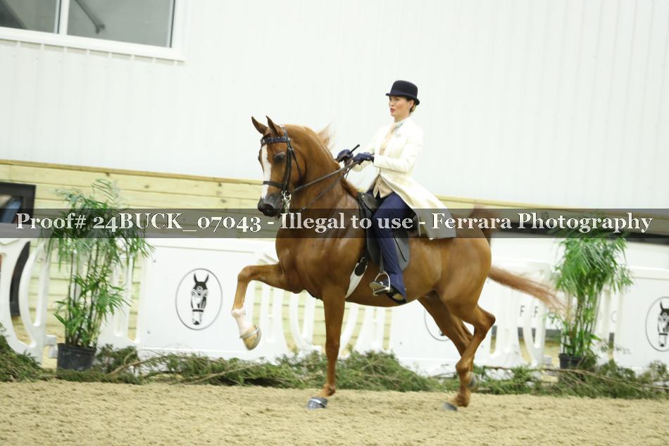 Proof 24BUCK_07043