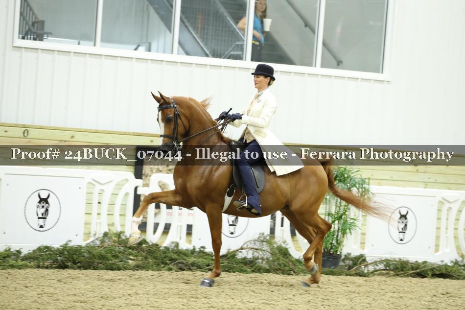 Proof 24BUCK_07044