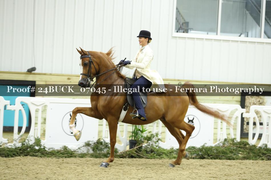 Proof 24BUCK_07045