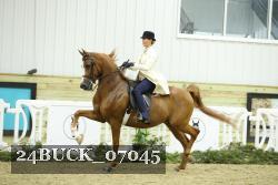 24BUCK_07045 proof
