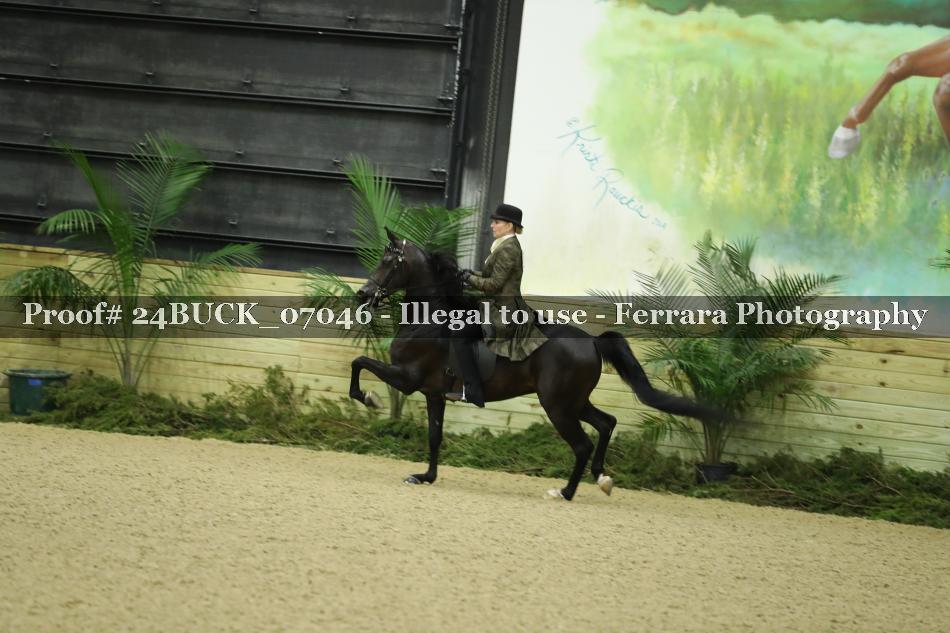 Proof 24BUCK_07046