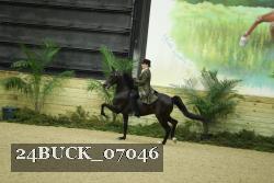 24BUCK_07046 proof