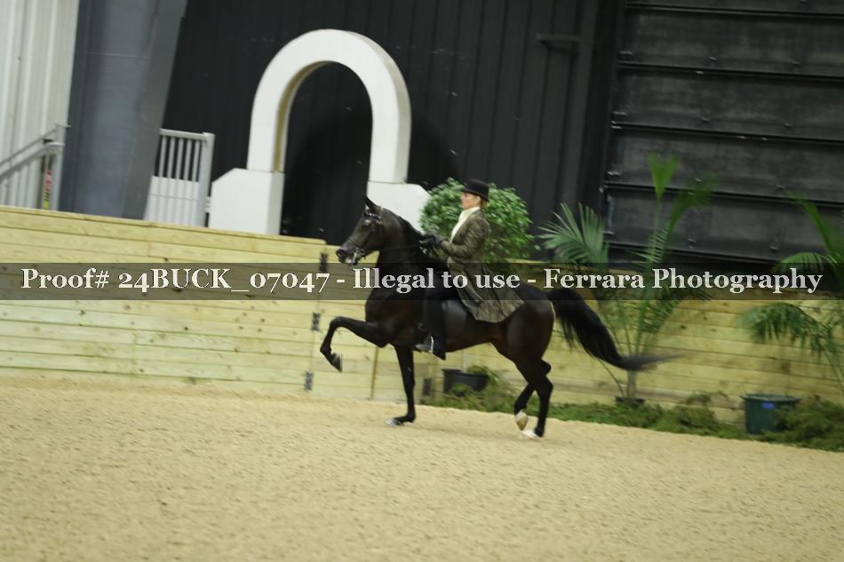 Proof 24BUCK_07047