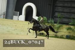 24BUCK_07047 proof