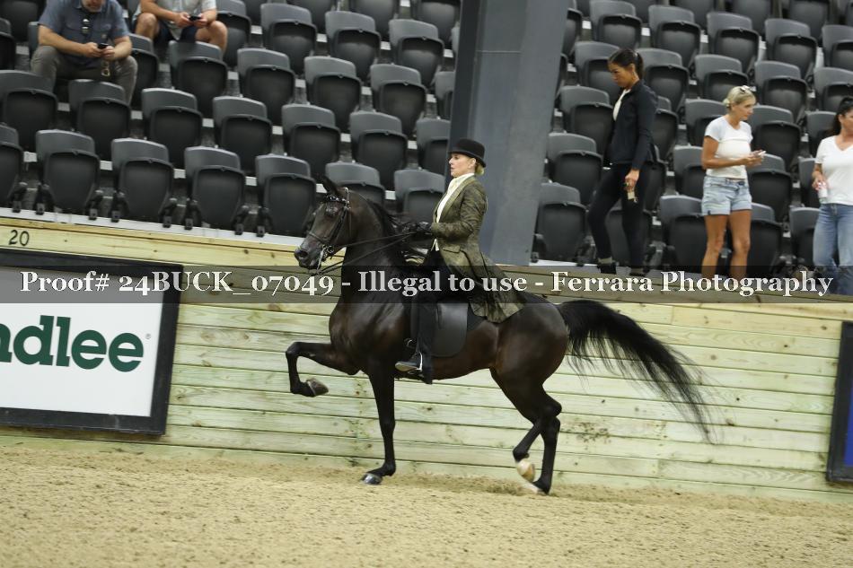 Proof 24BUCK_07049