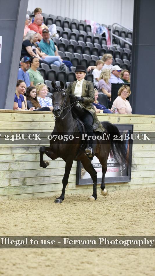 Proof 24BUCK_07050