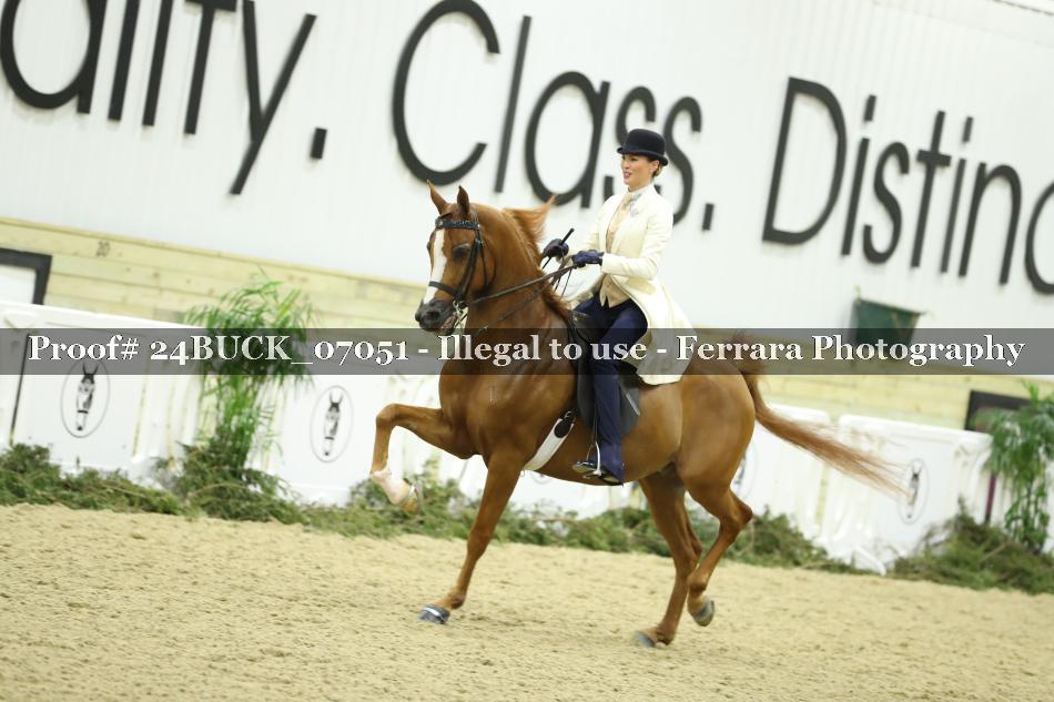 Proof 24BUCK_07051
