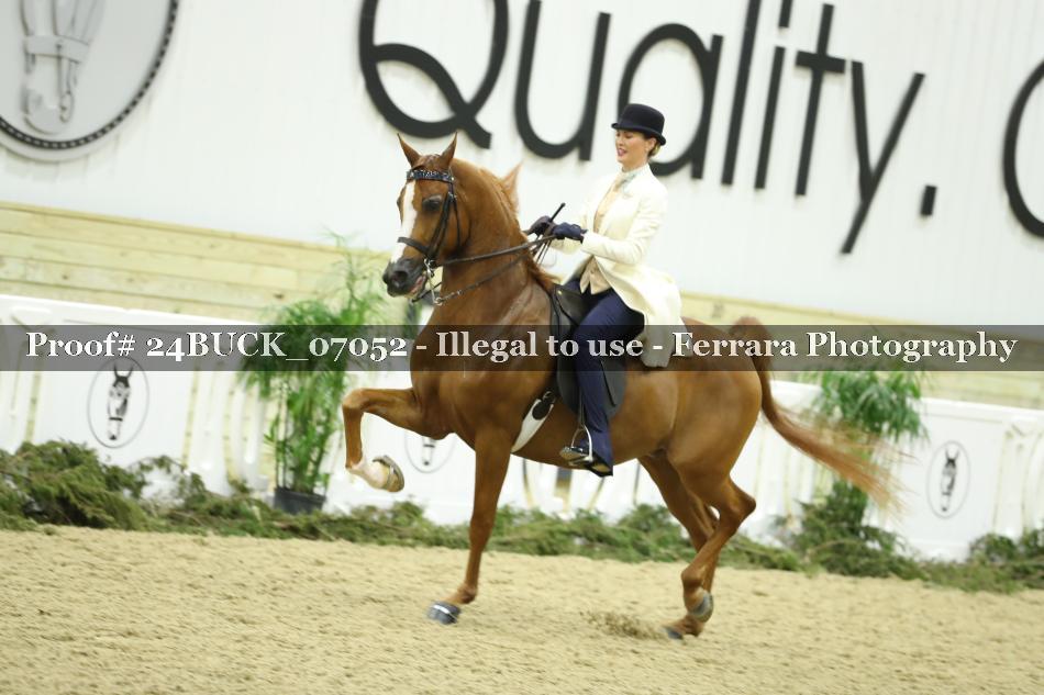 Proof 24BUCK_07052