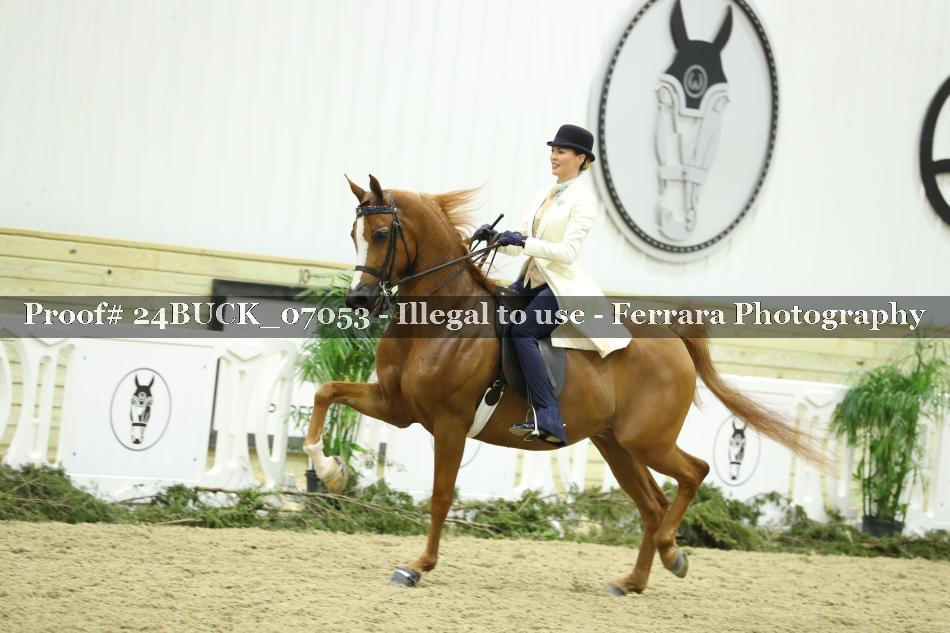 Proof 24BUCK_07053