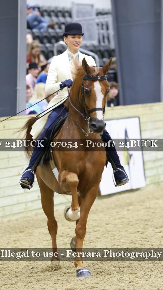 Proof 24BUCK_07054