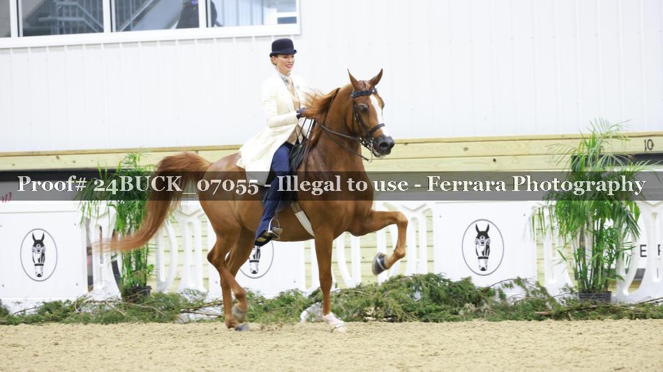 Proof 24BUCK_07055