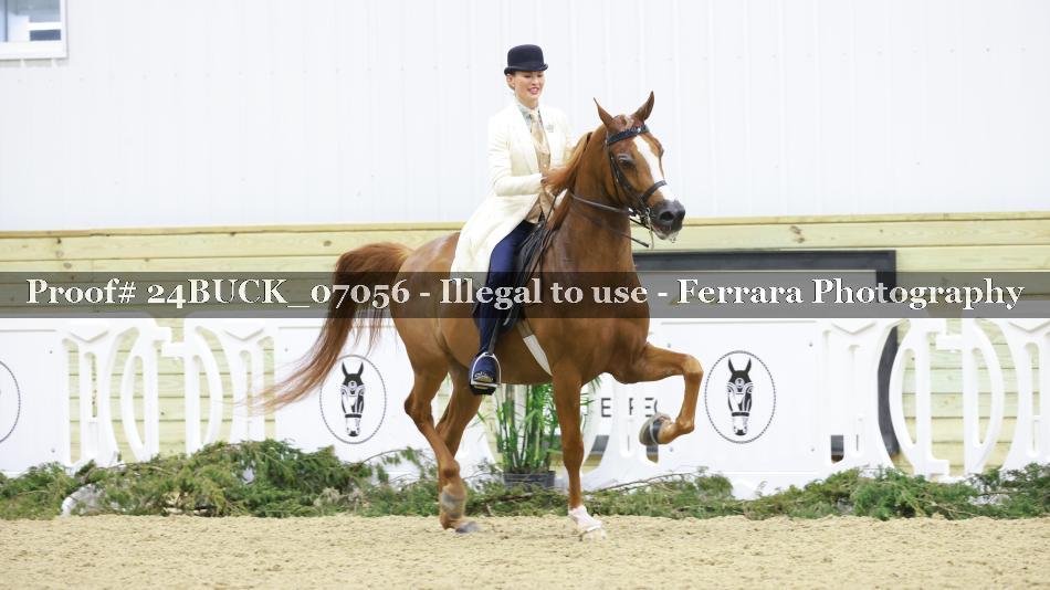 Proof 24BUCK_07056