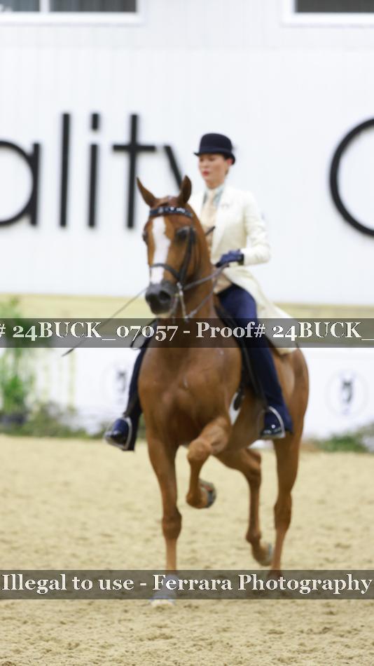 Proof 24BUCK_07057