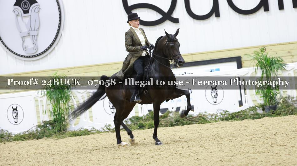 Proof 24BUCK_07058