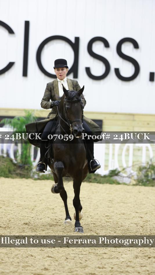 Proof 24BUCK_07059