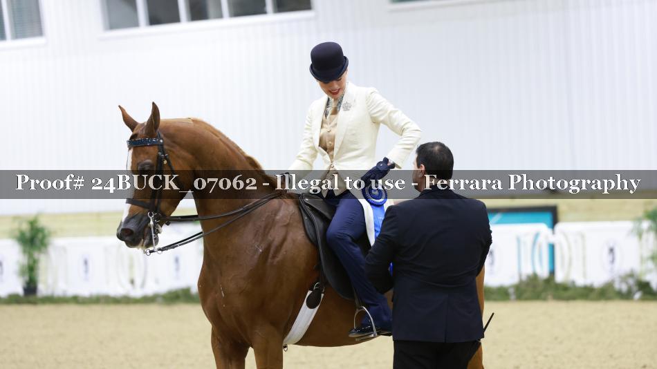 Proof 24BUCK_07062