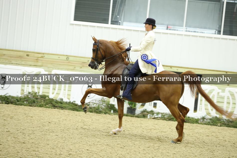 Proof 24BUCK_07063