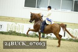 24BUCK_07063 proof