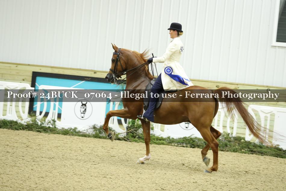 Proof 24BUCK_07064