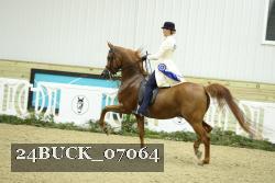 24BUCK_07064 proof