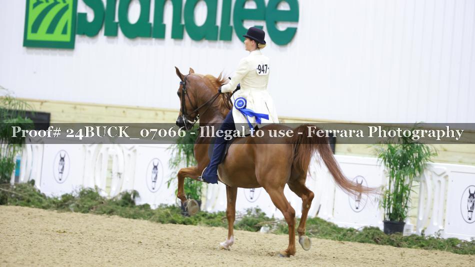 Proof 24BUCK_07066