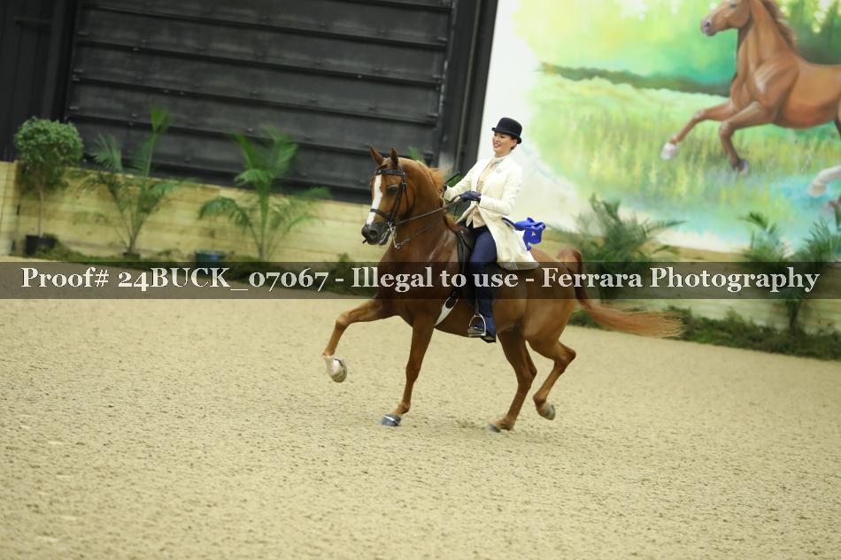 Proof 24BUCK_07067